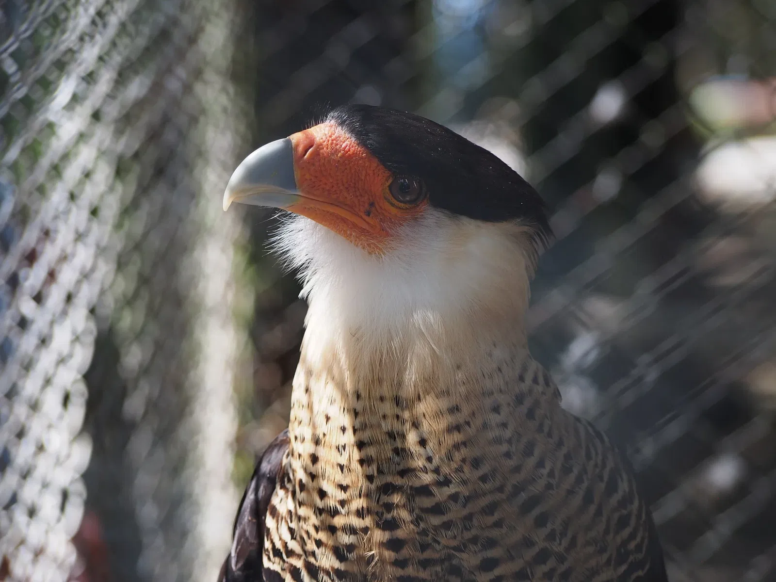 Bioparque Los Ocarros