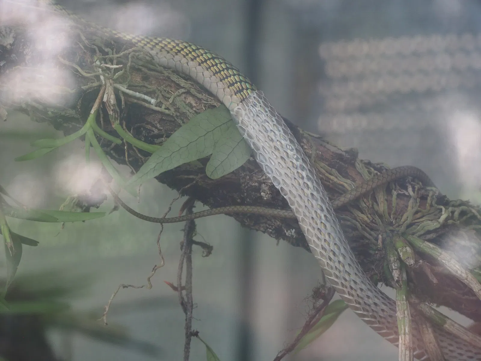 Bioparque Los Ocarros