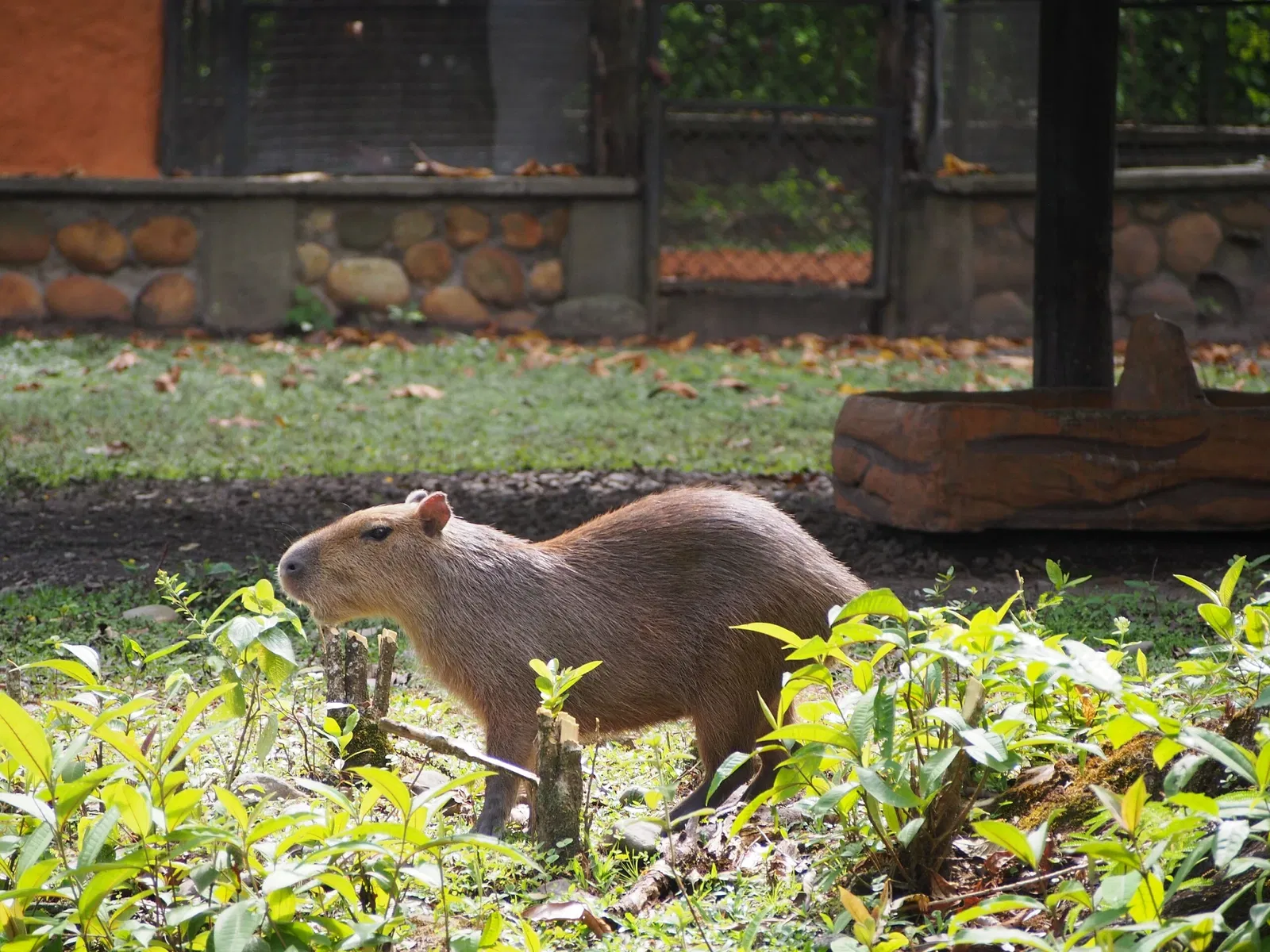 Bioparque Los Ocarros