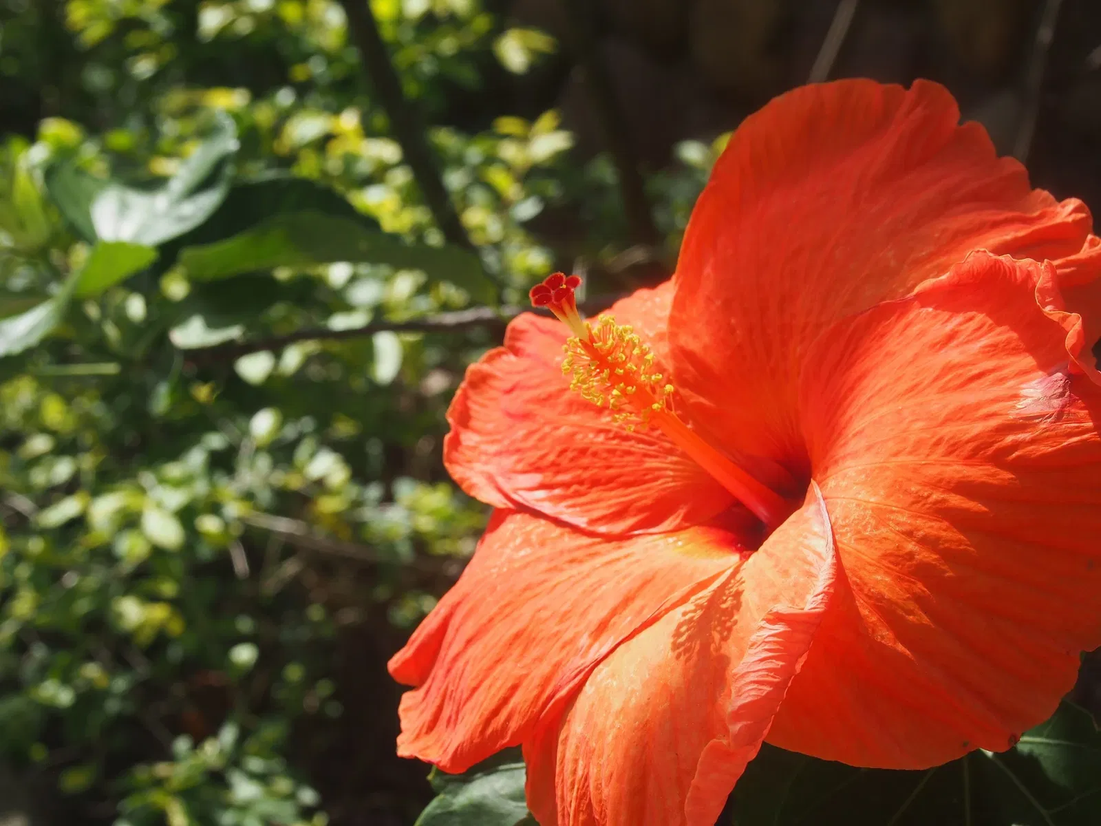 Bioparque Los Ocarros