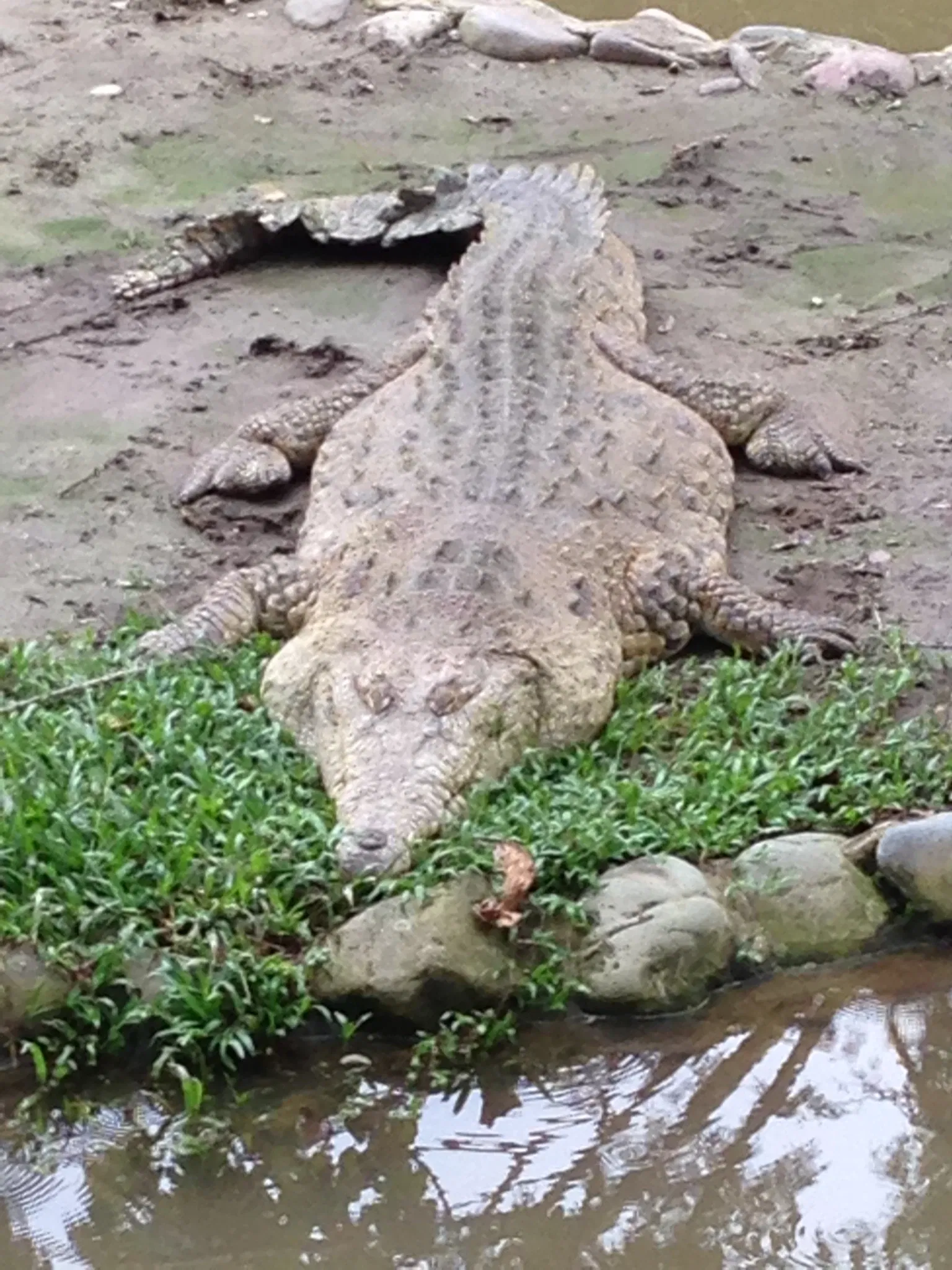 Bioparque Los Ocarros
