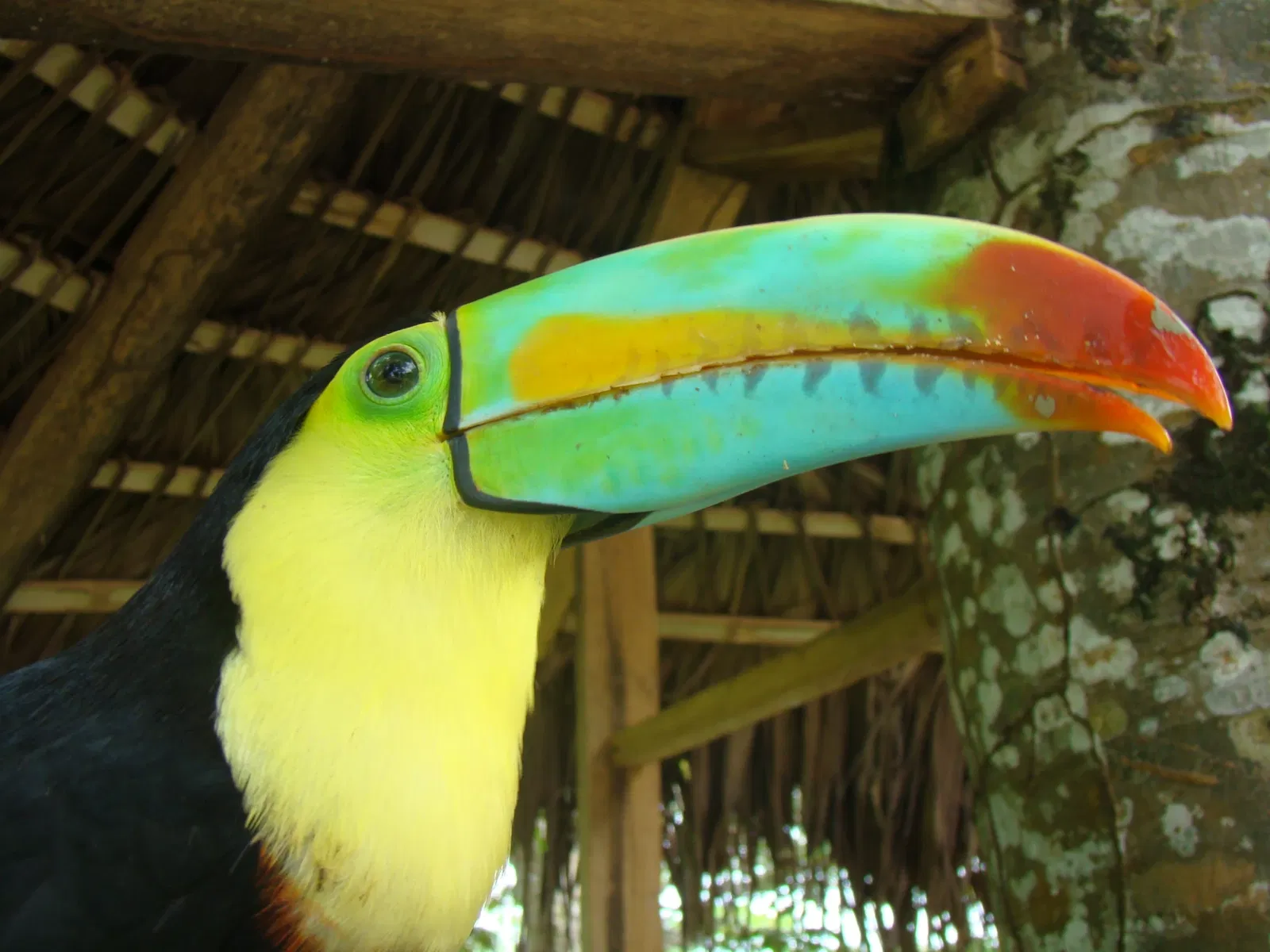 Reglamento del Parque Temático Hacienda Nápoles
