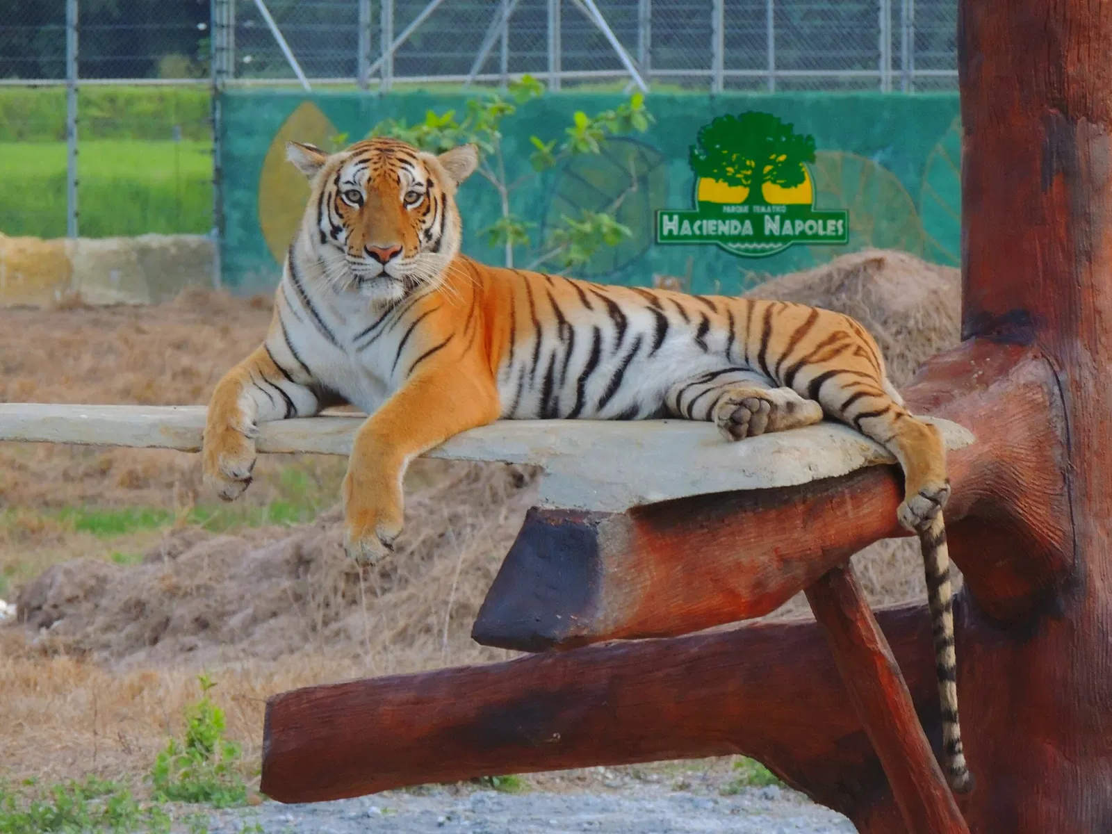 Reglamento del Parque Temático Hacienda Nápoles