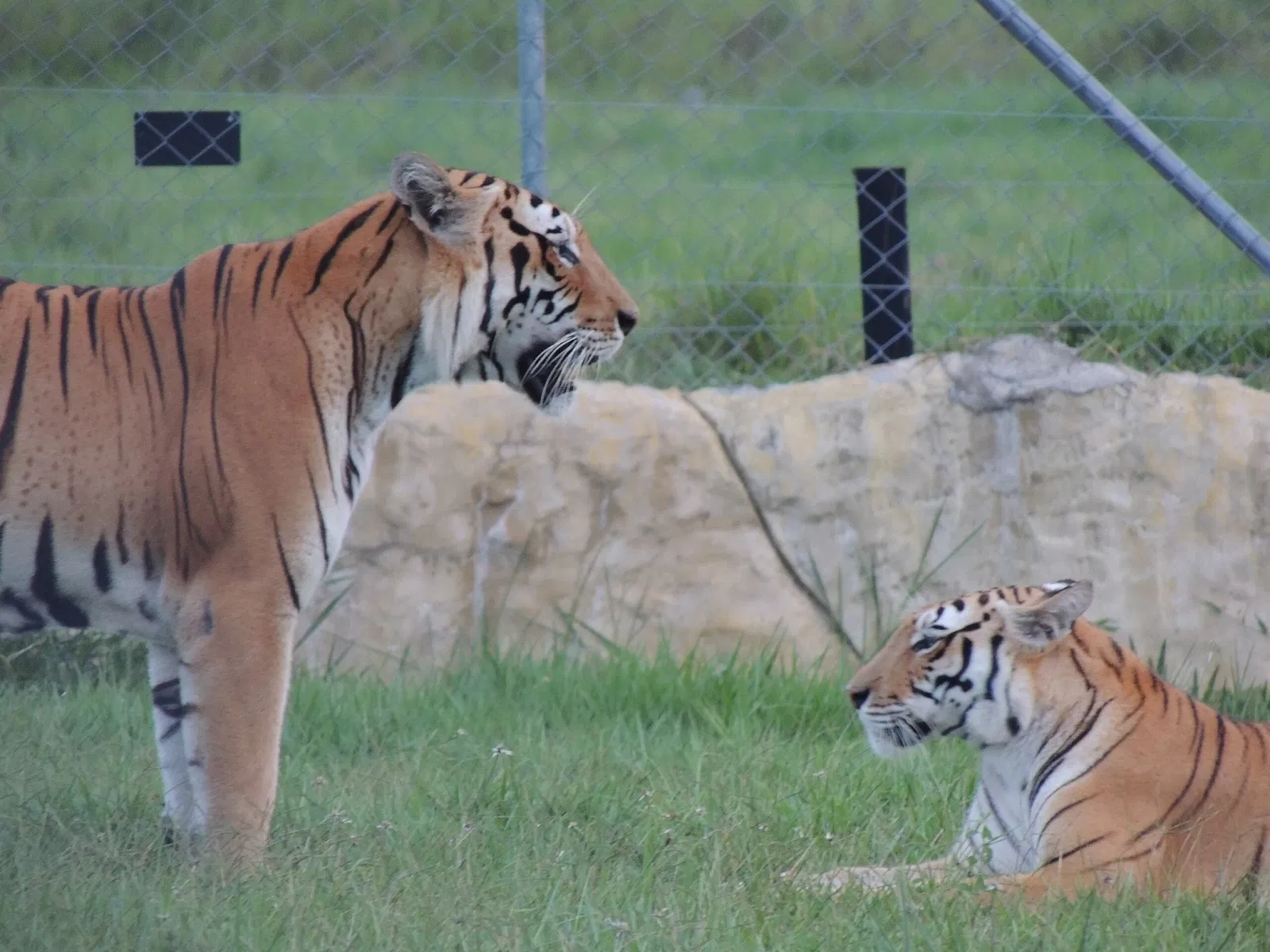 Reglamento del Parque Temático Hacienda Nápoles
