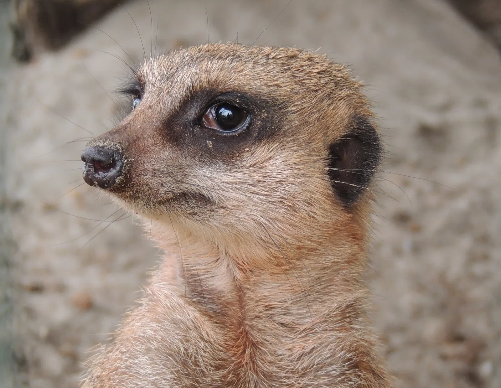 Reglamento del Parque Temático Hacienda Nápoles