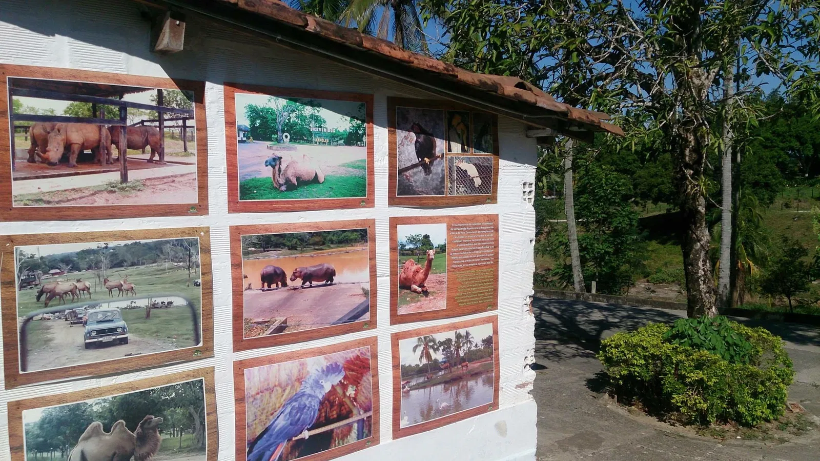 Reglamento del Parque Temático Hacienda Nápoles