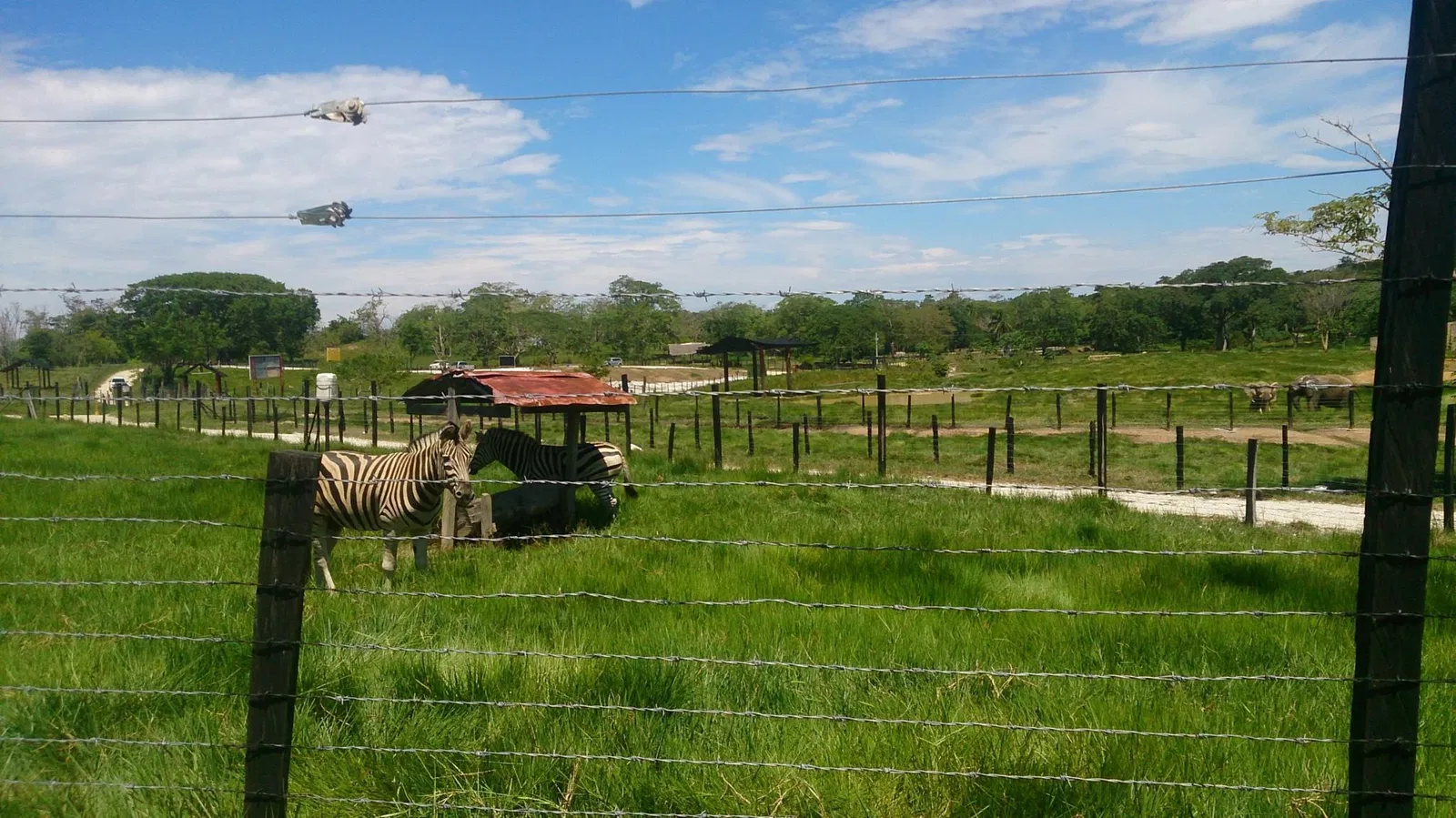Reglamento del Parque Temático Hacienda Nápoles