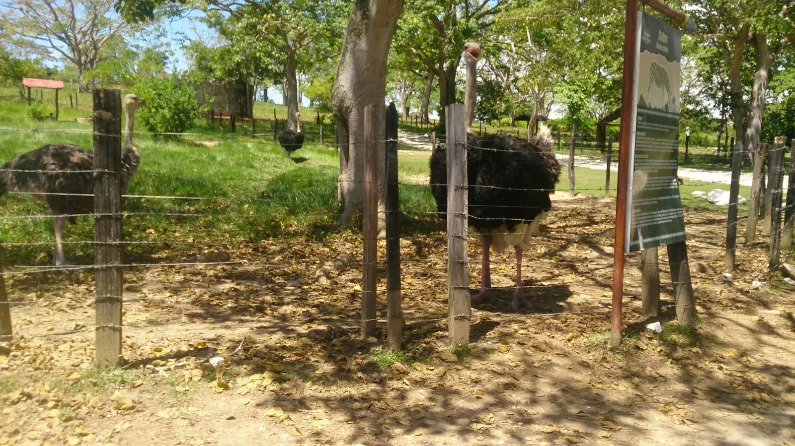 Reglamento del Parque Temático Hacienda Nápoles