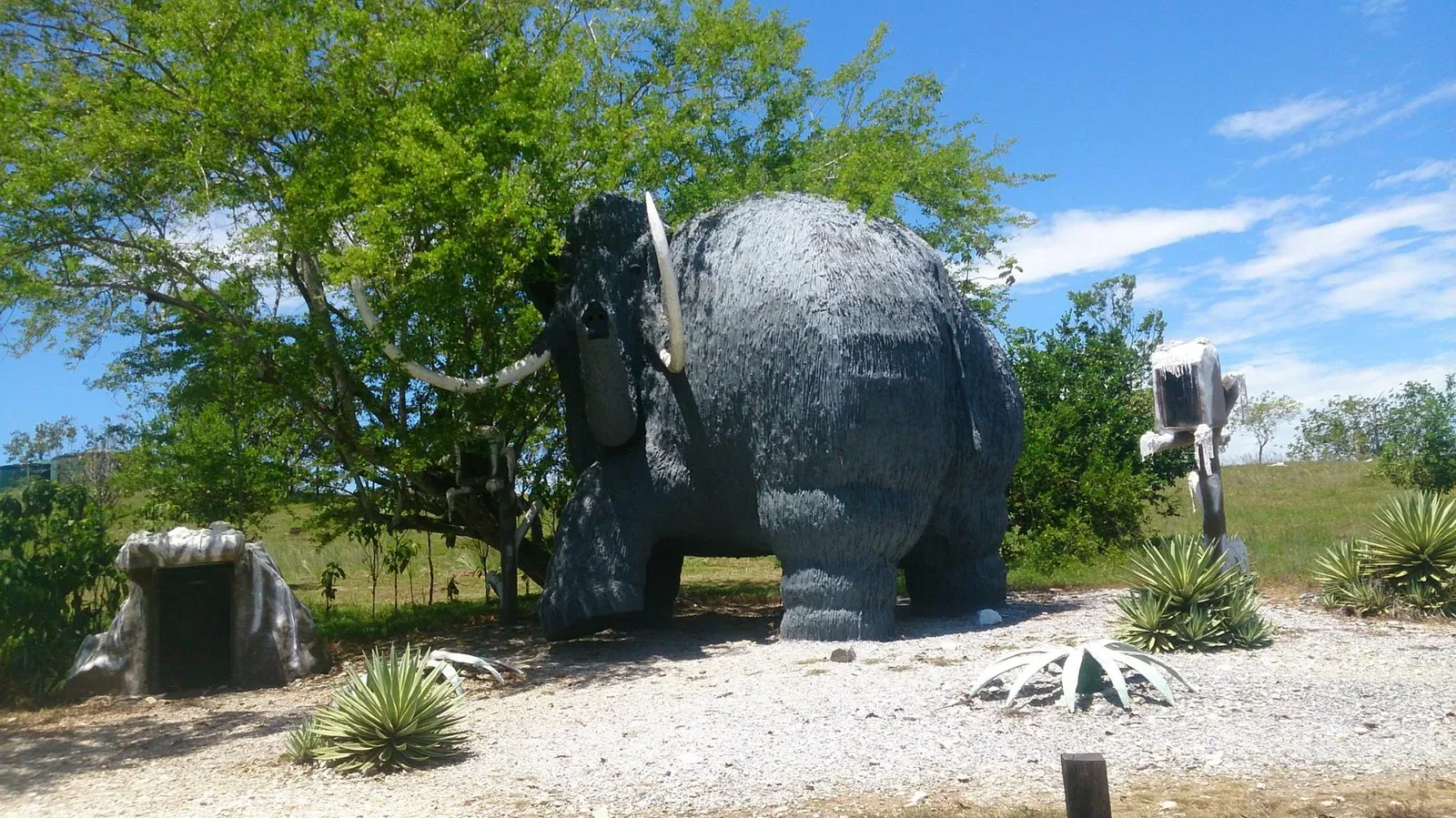 Reglamento del Parque Temático Hacienda Nápoles