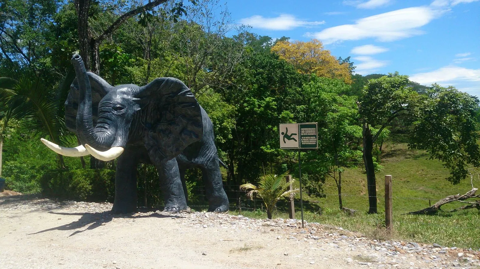 Reglamento del Parque Temático Hacienda Nápoles