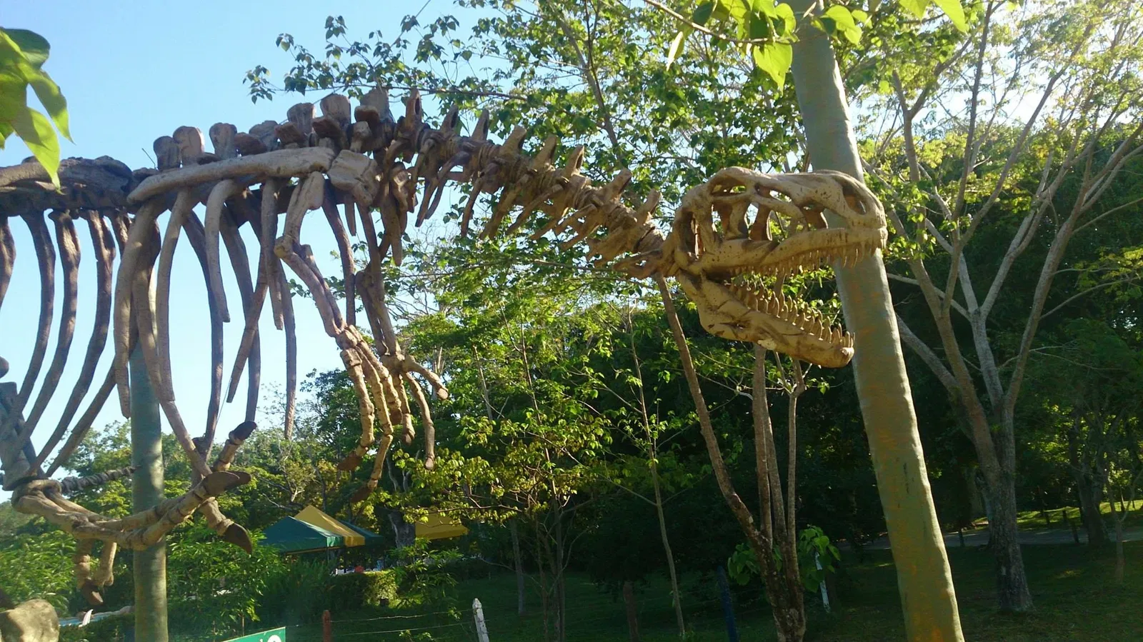 Reglamento del Parque Temático Hacienda Nápoles