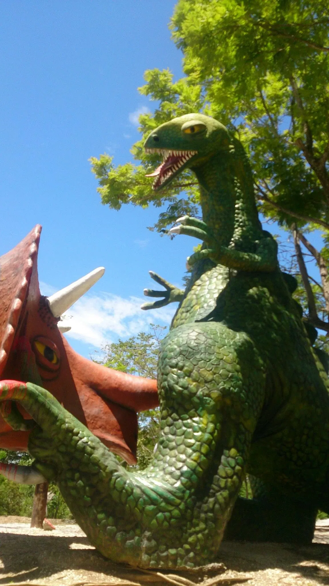 Reglamento del Parque Temático Hacienda Nápoles