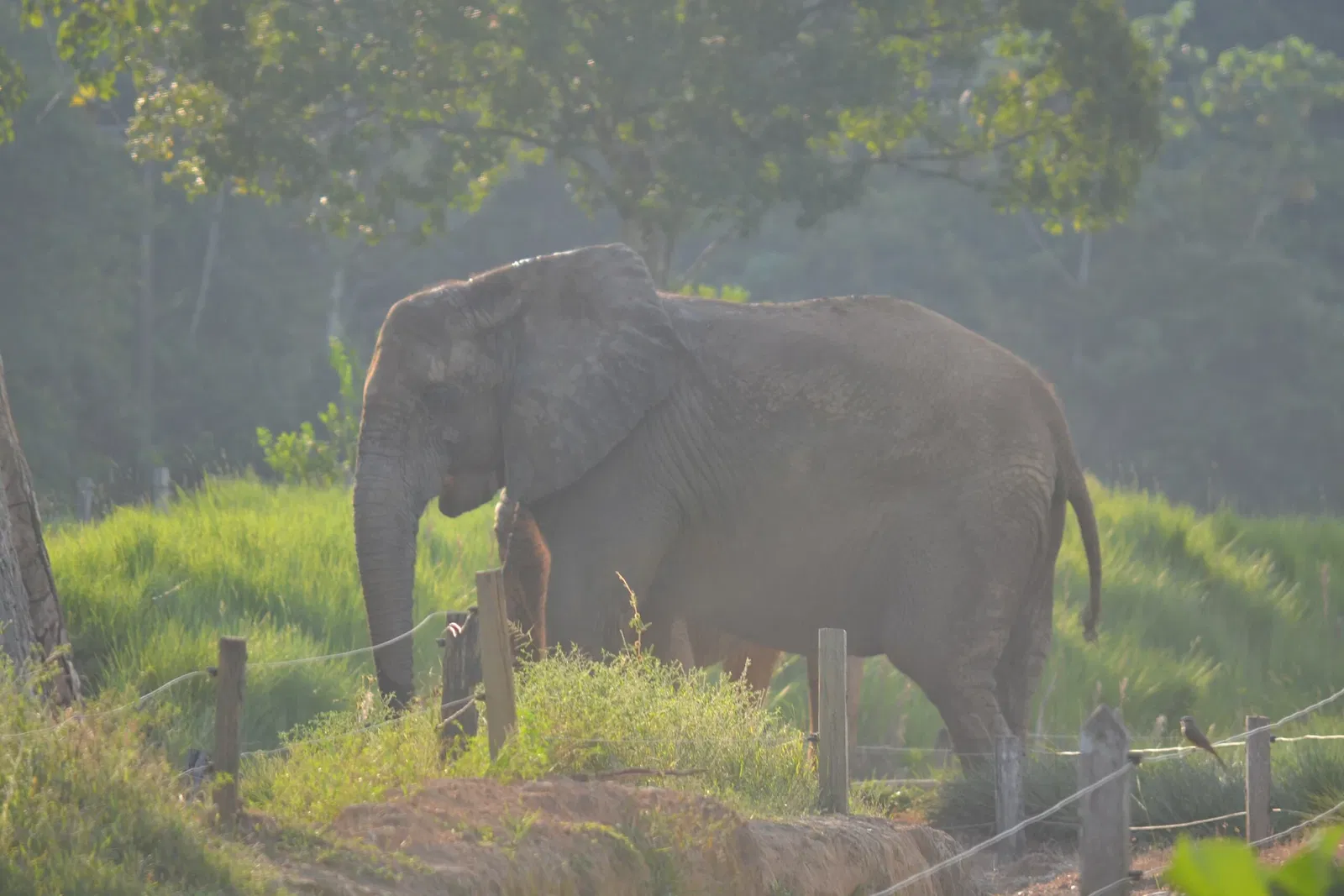 Reglamento del Parque Temático Hacienda Nápoles