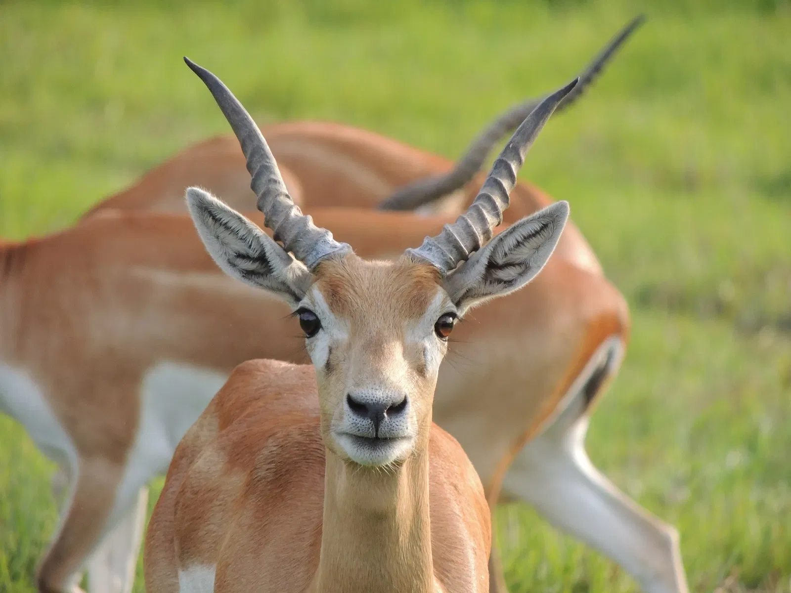 Reglamento del Parque Temático Hacienda Nápoles