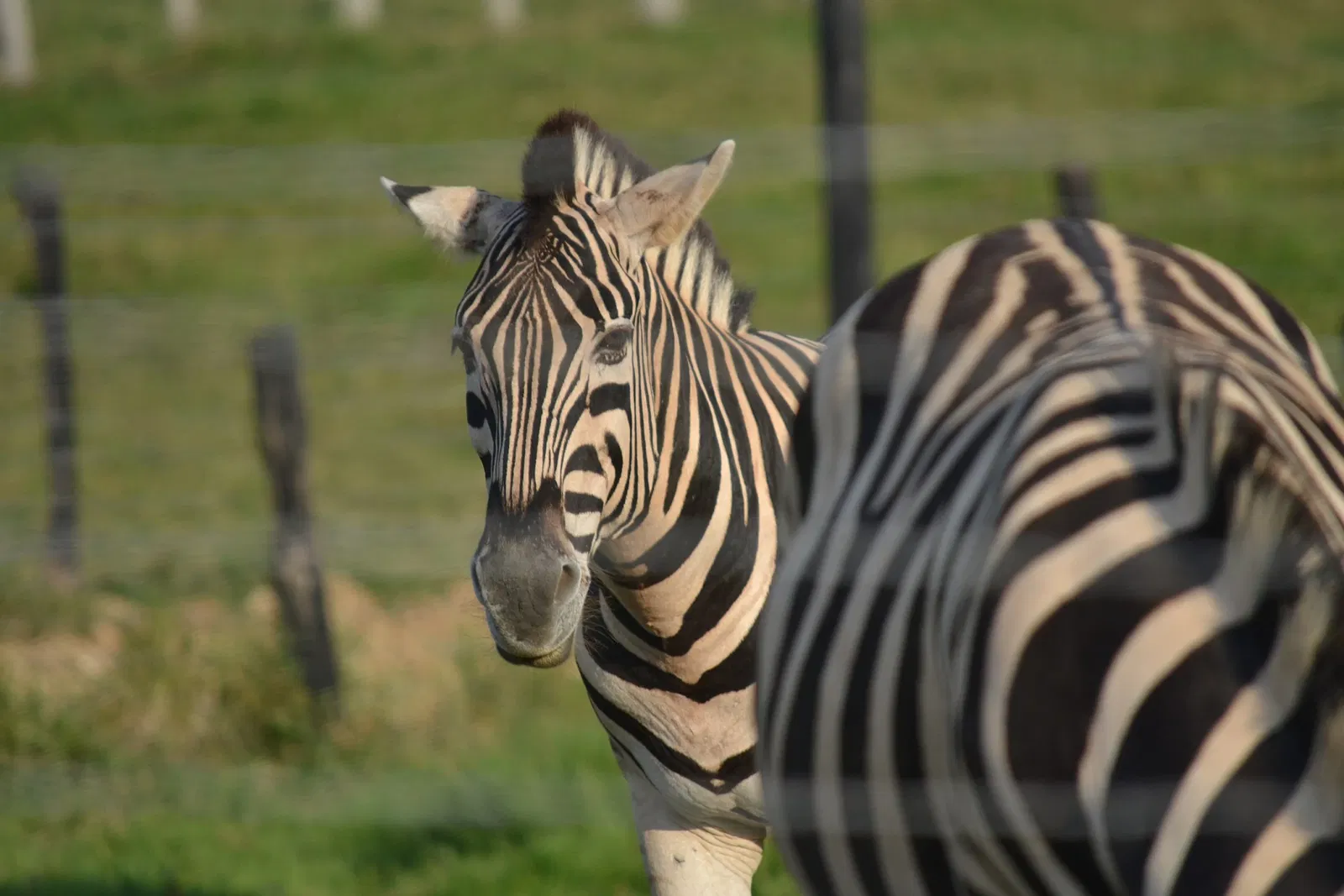 Reglamento del Parque Temático Hacienda Nápoles