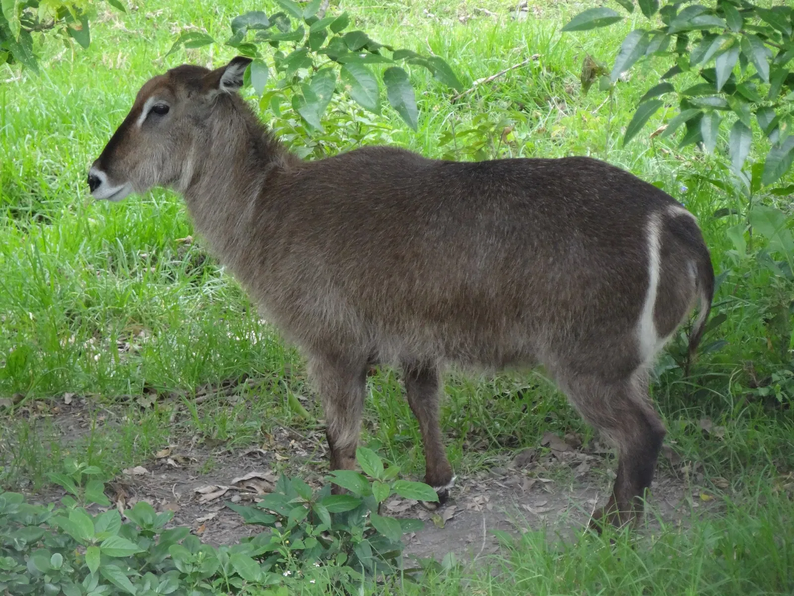Zoológico Santacruz