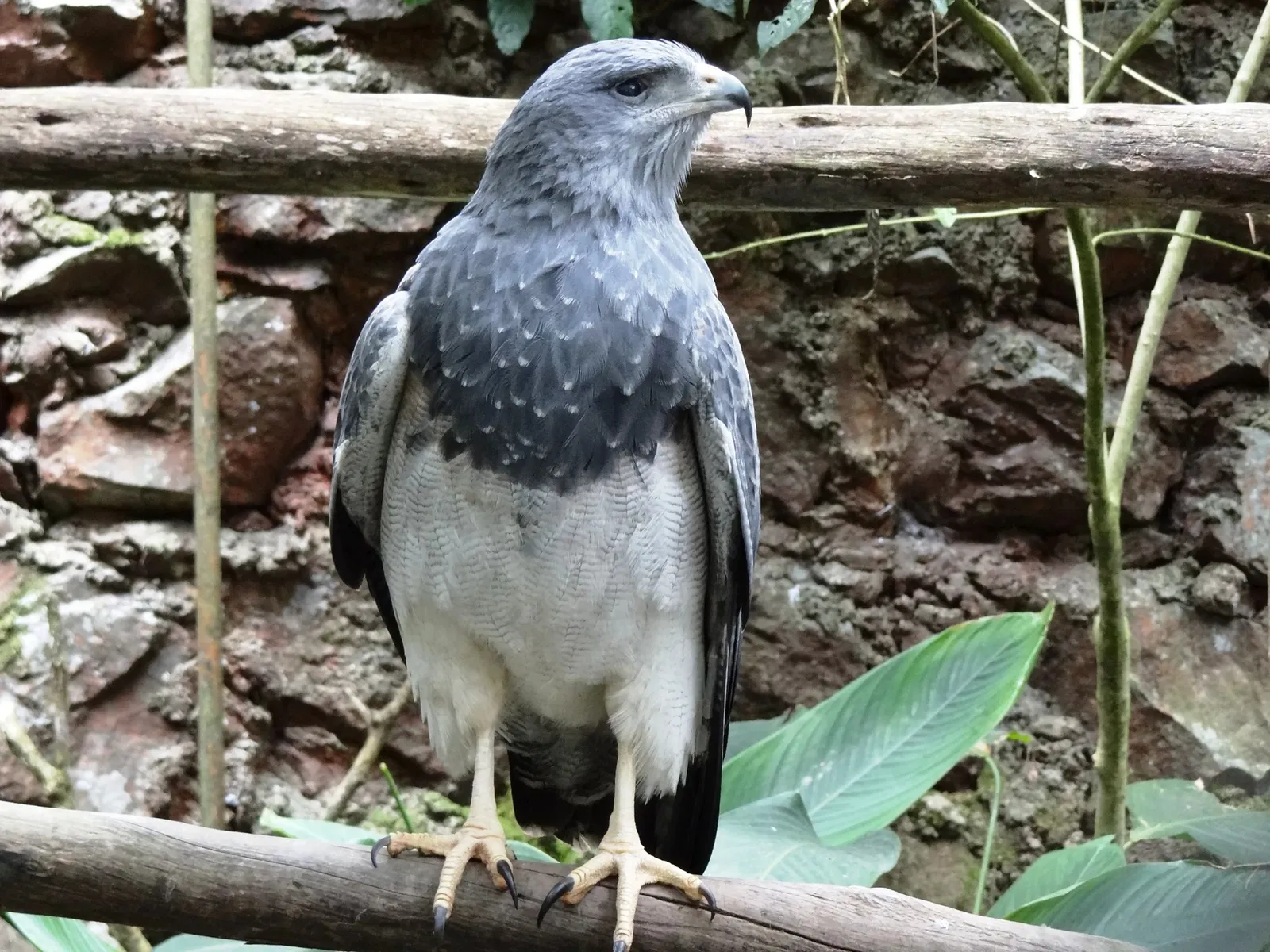 Zoológico Santacruz