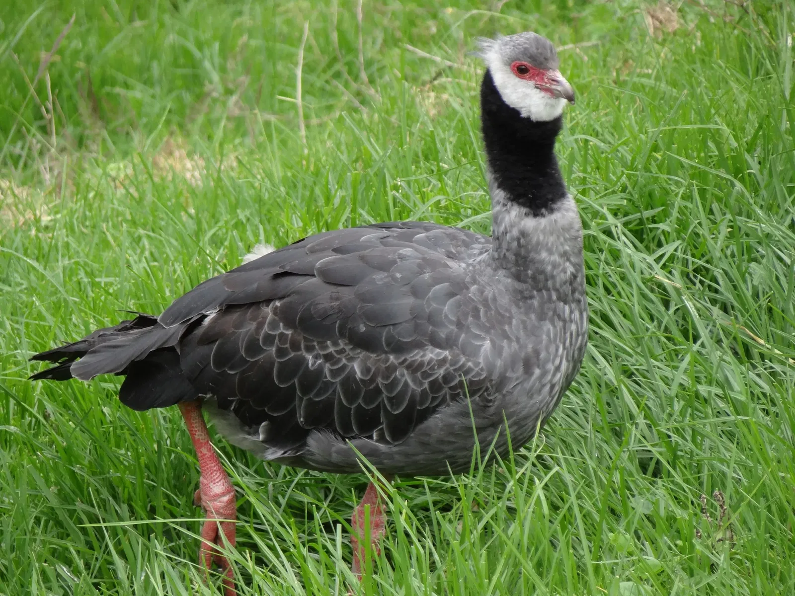 Zoológico Santacruz