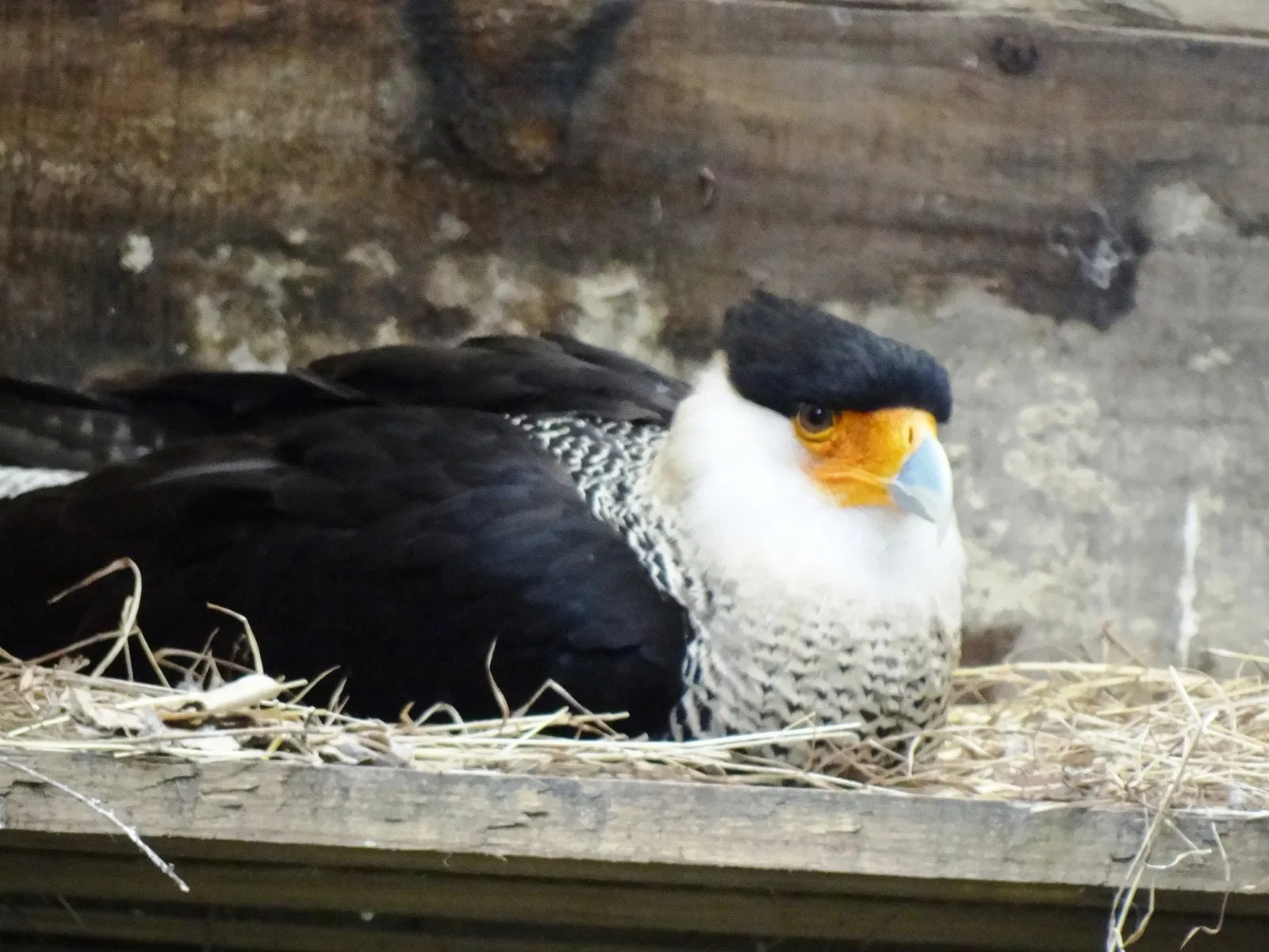 Zoológico Santacruz
