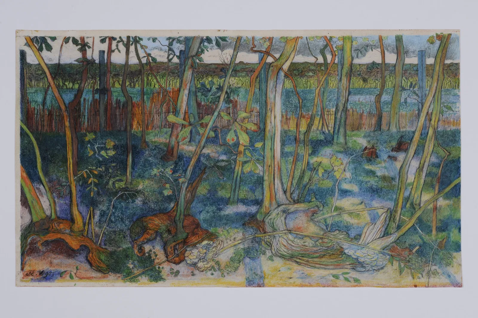 Floris Verster - At home in nature