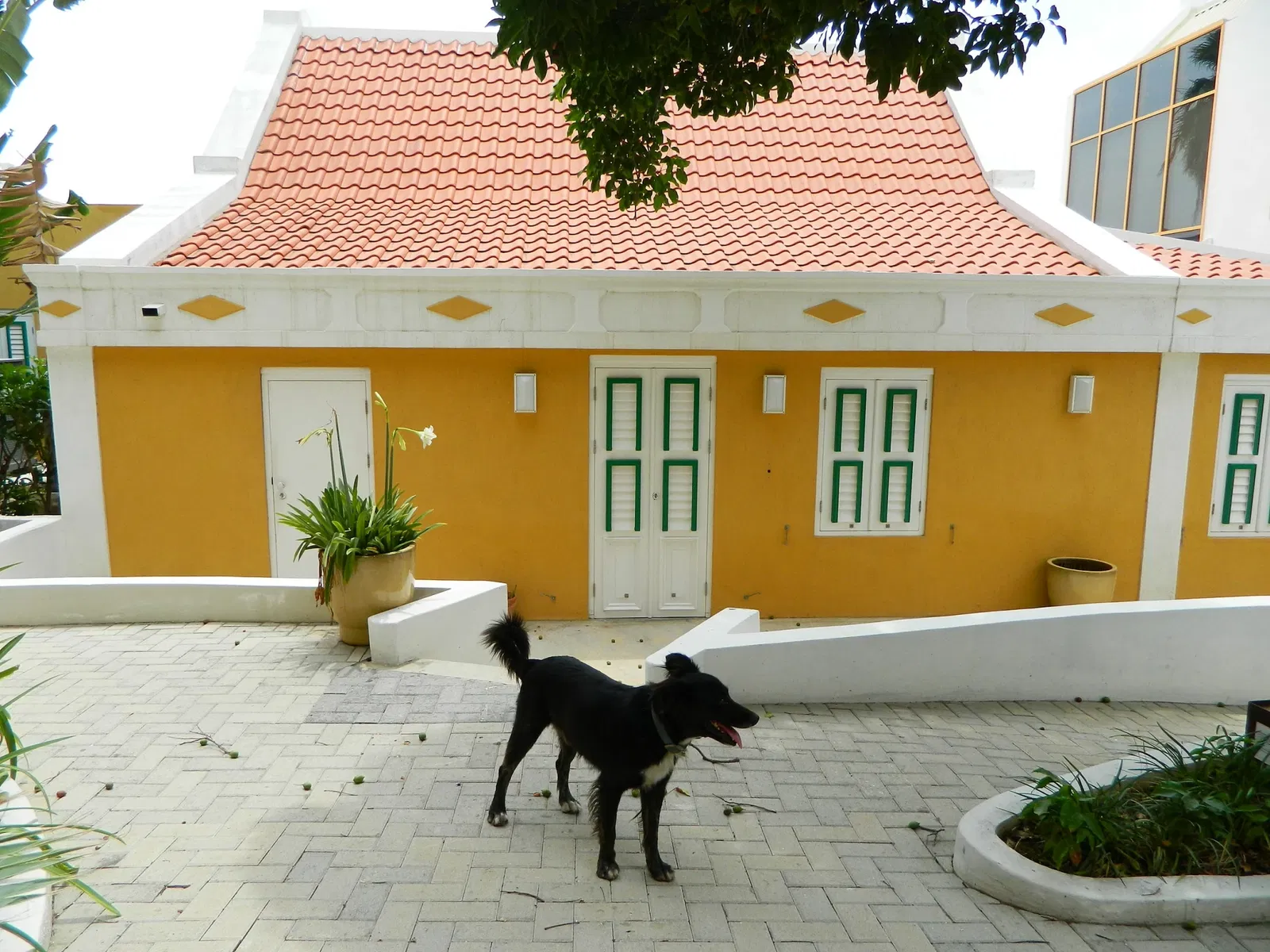 National Archaeological Museum Aruba