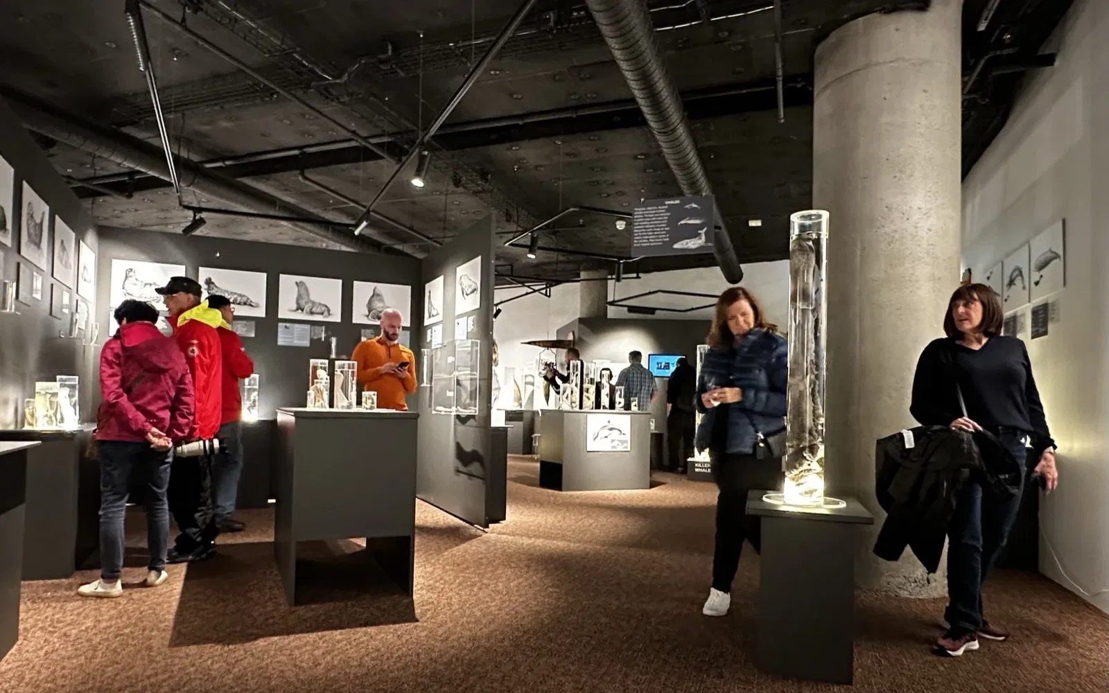 The Icelandic Phallological Museum