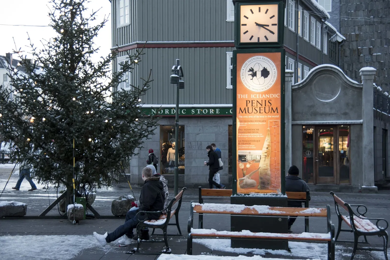 The Icelandic Phallological Museum