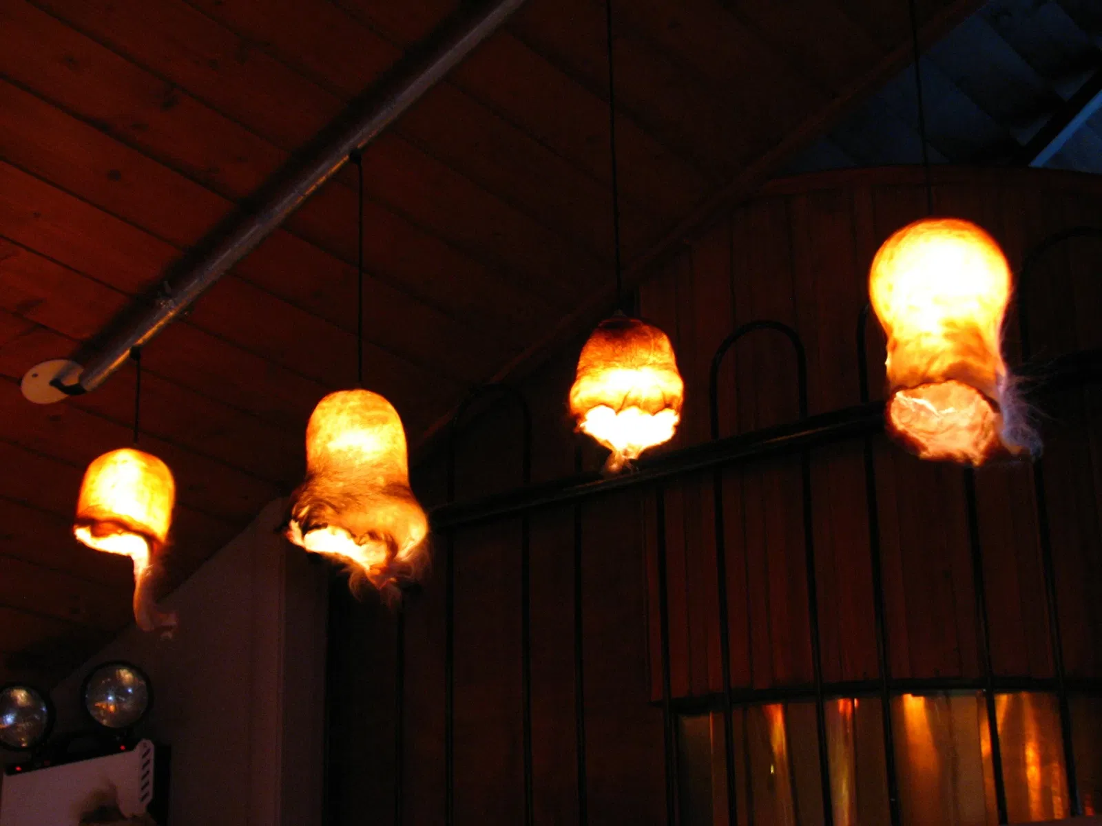 Isländisches Phallusmuseum