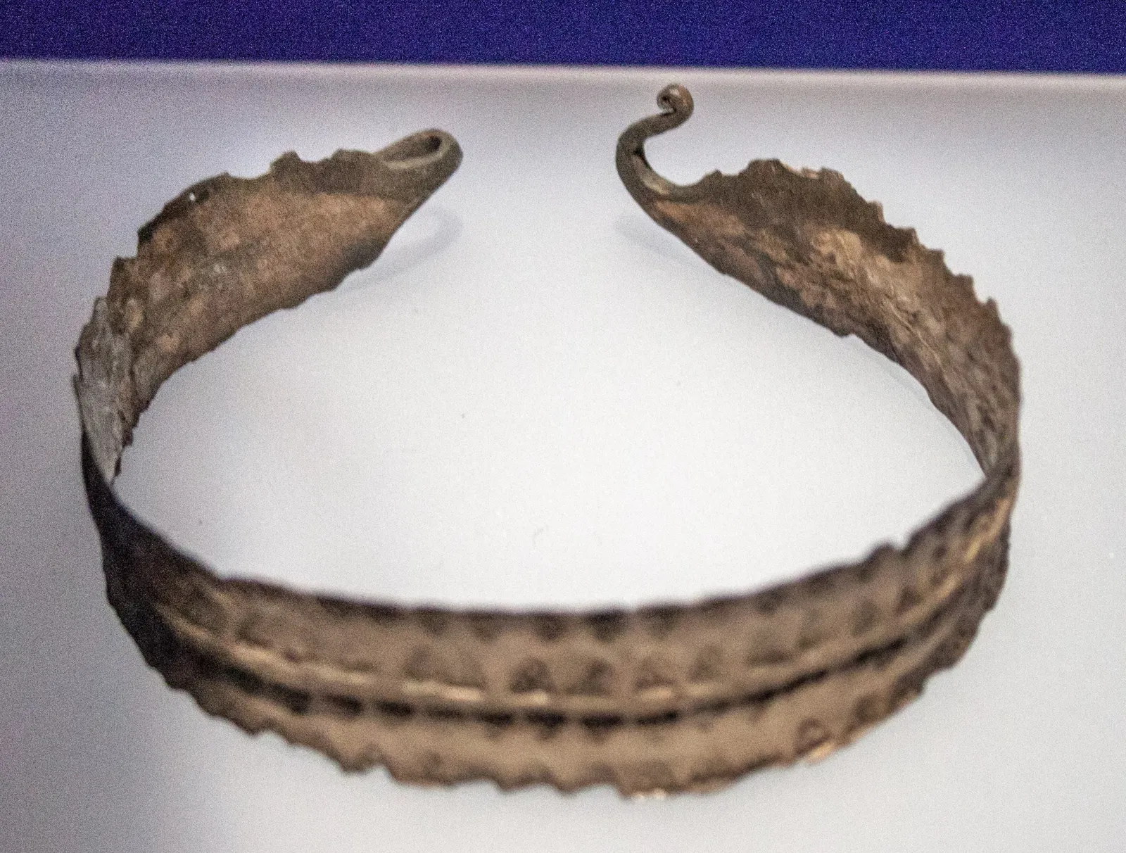 The Settlement Exhibition