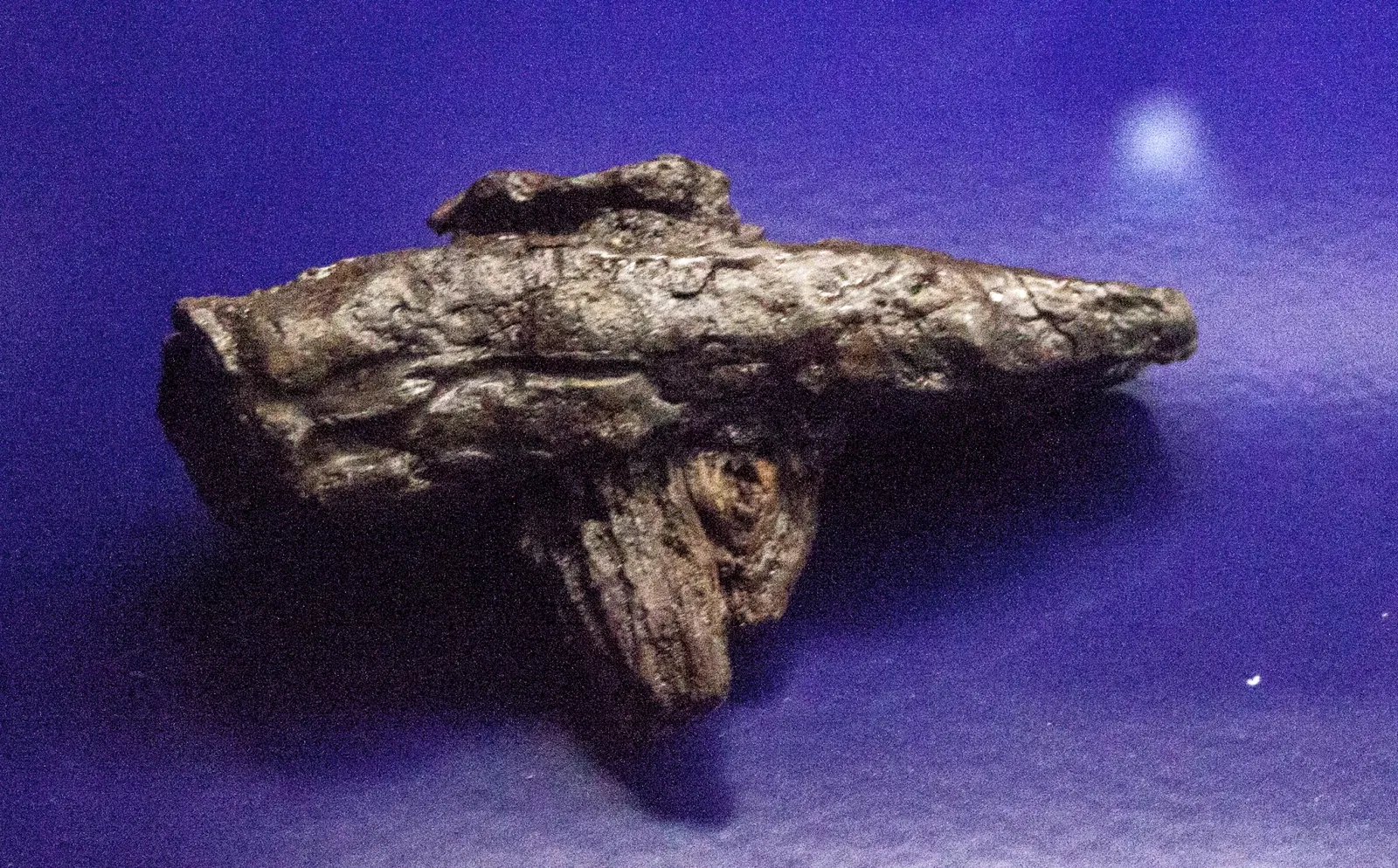 The Settlement Exhibition