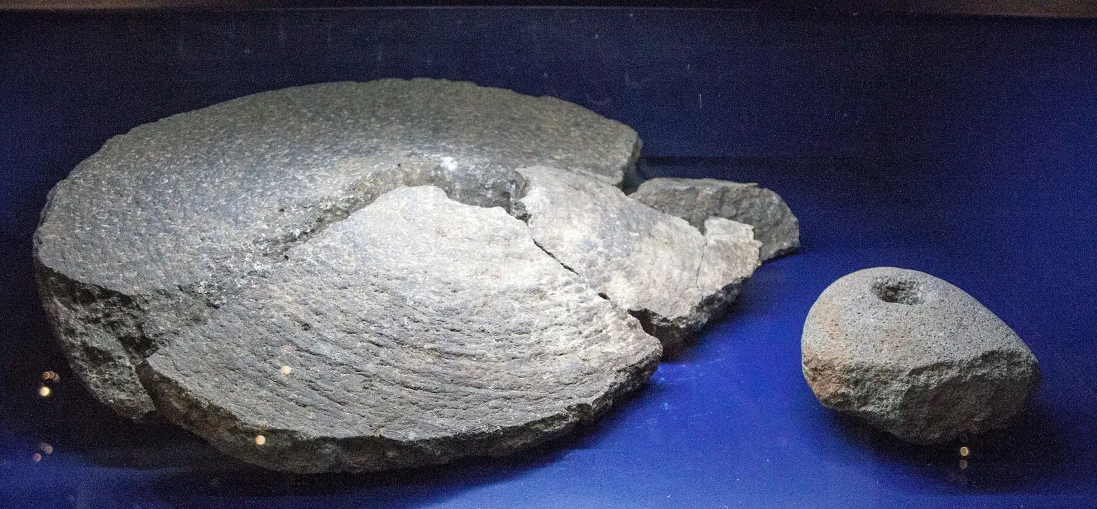 The Settlement Exhibition