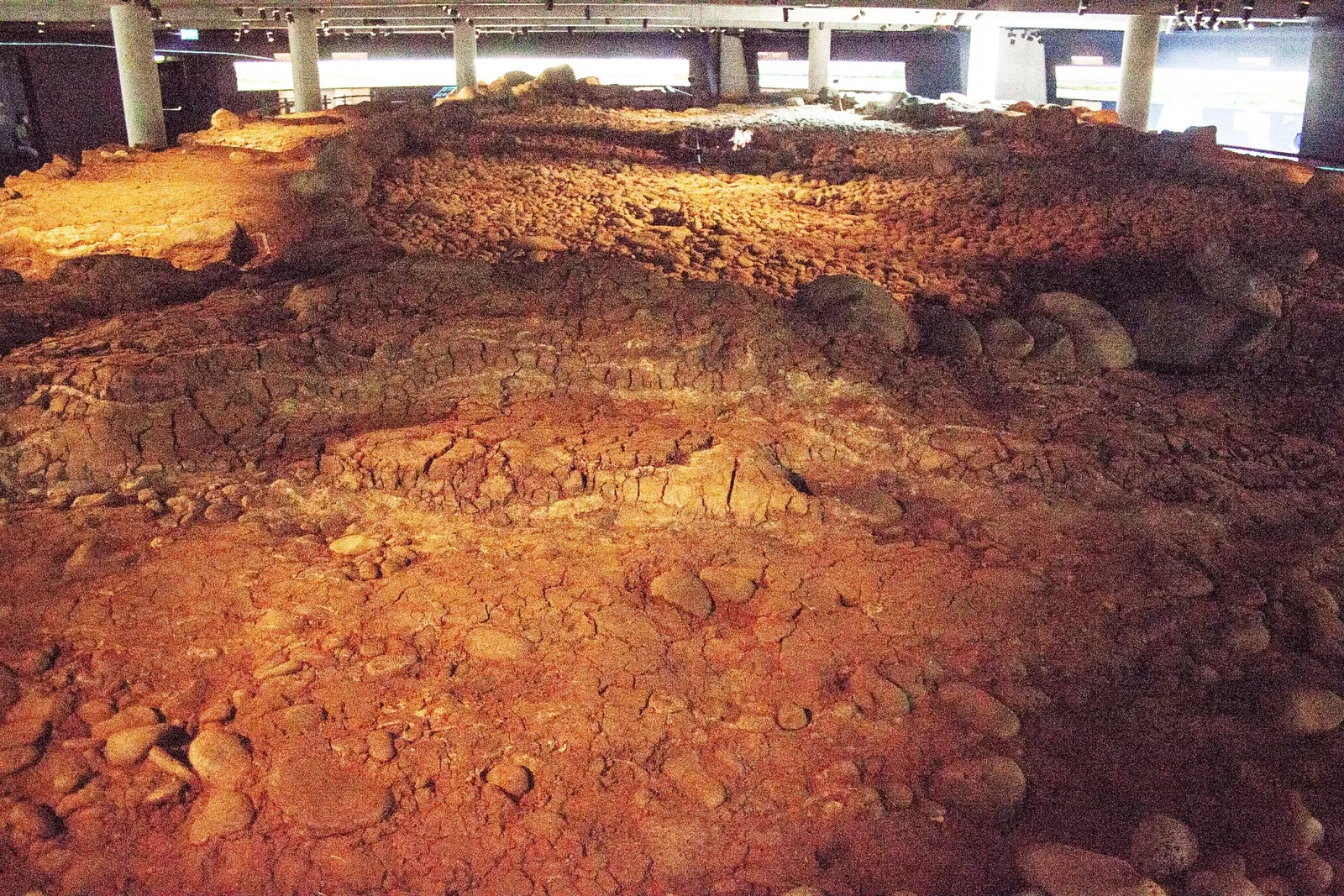 The Settlement Exhibition