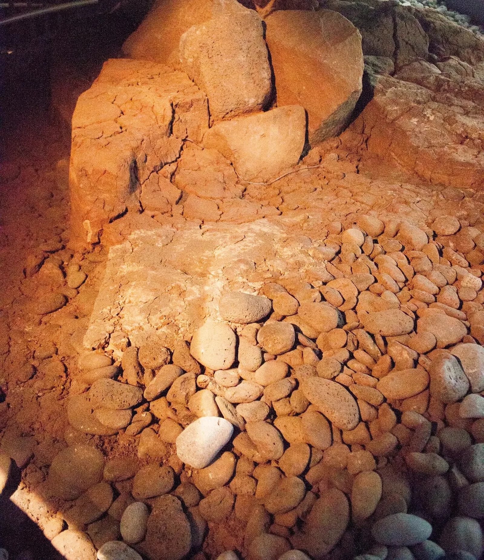 The Settlement Exhibition