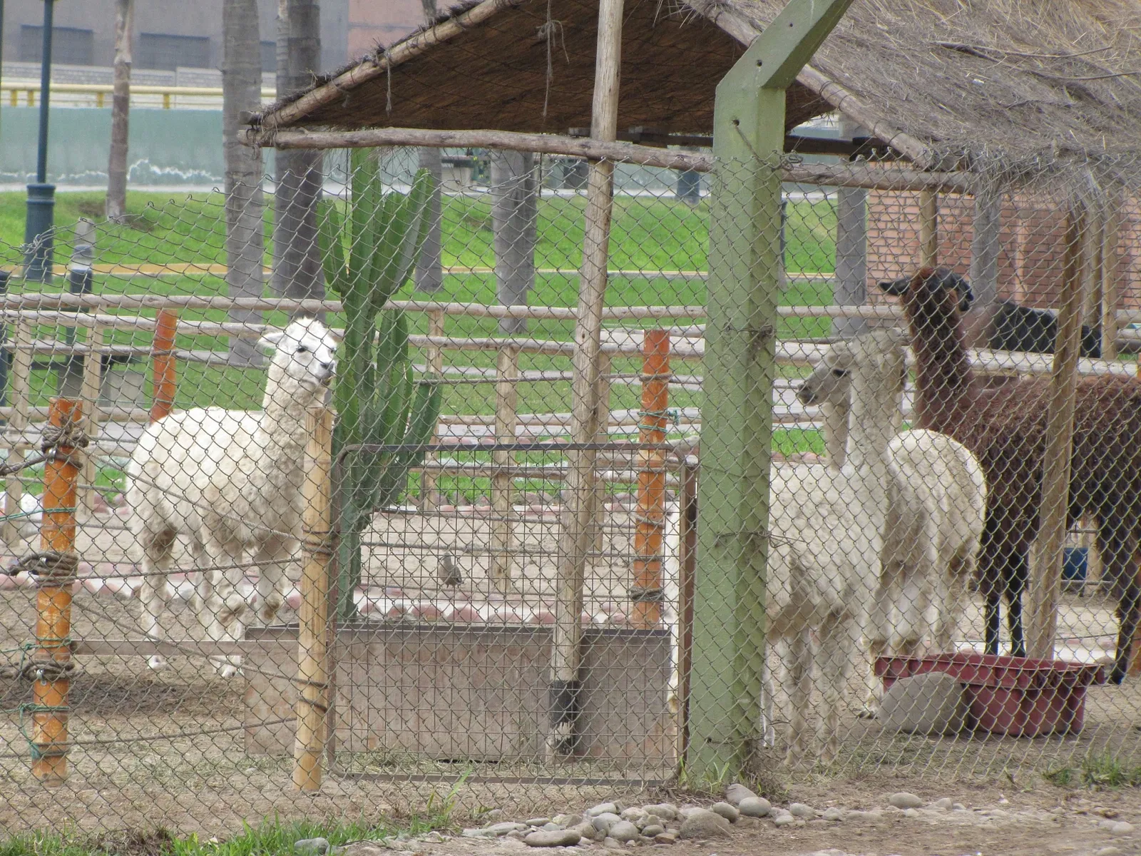 Parque de La Muralla