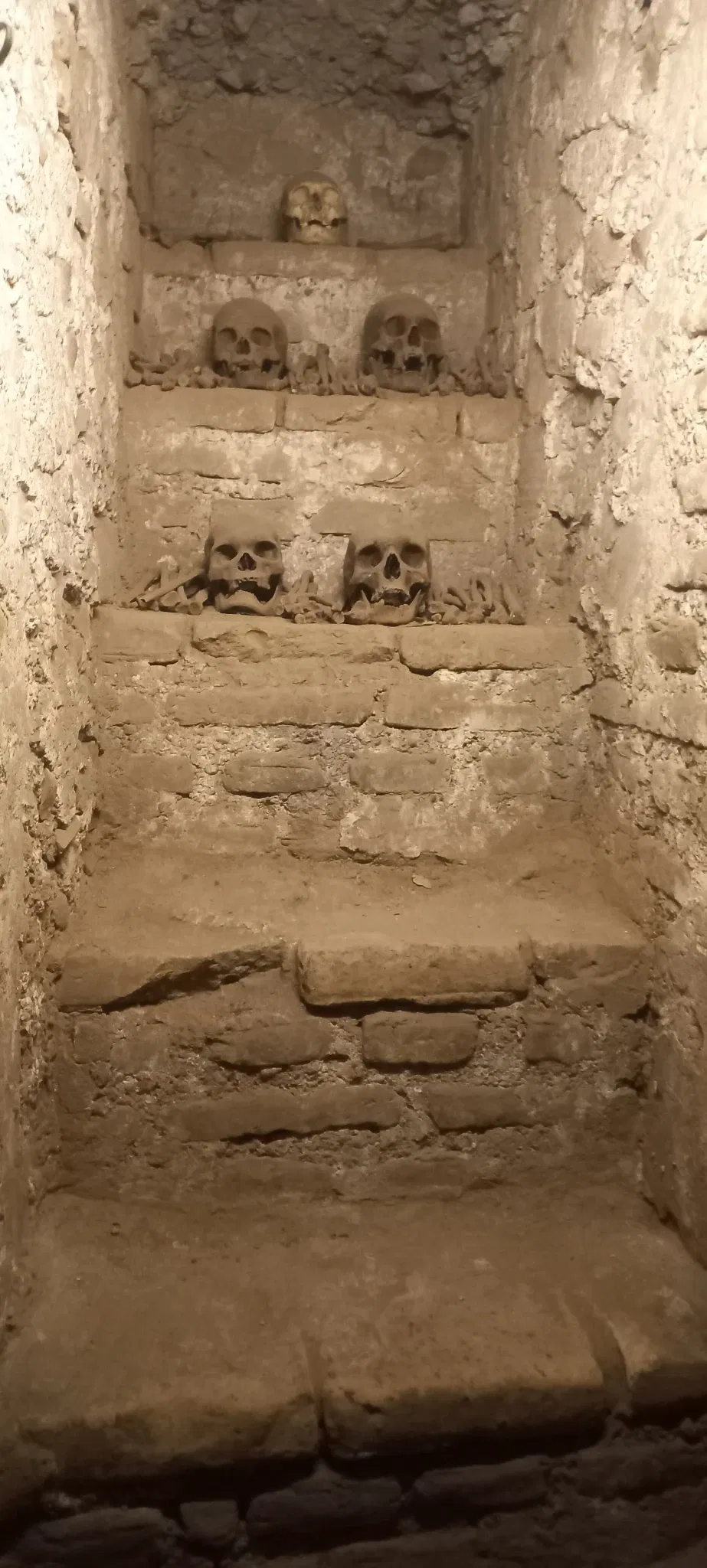 Museo de Sitio Parque de La Muralla