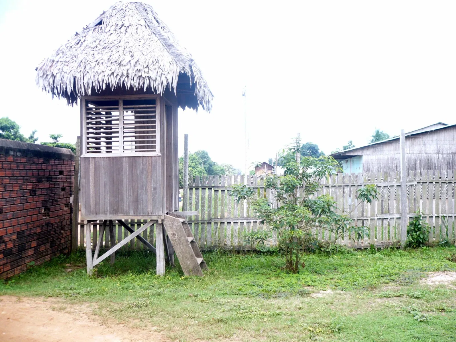 Pucallpa Natural Park