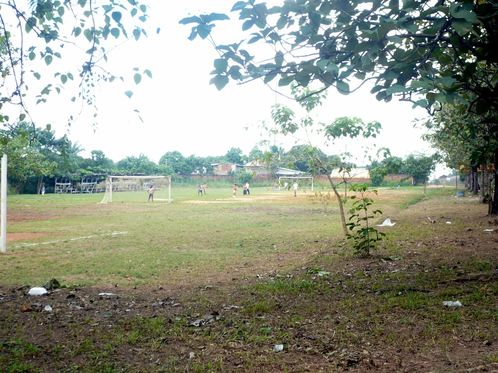 Pucallpa Natural Park