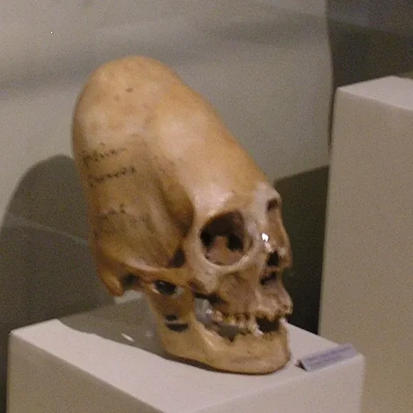 Museo Regional de Ica "Adolfo Bermúdez Jenkins"