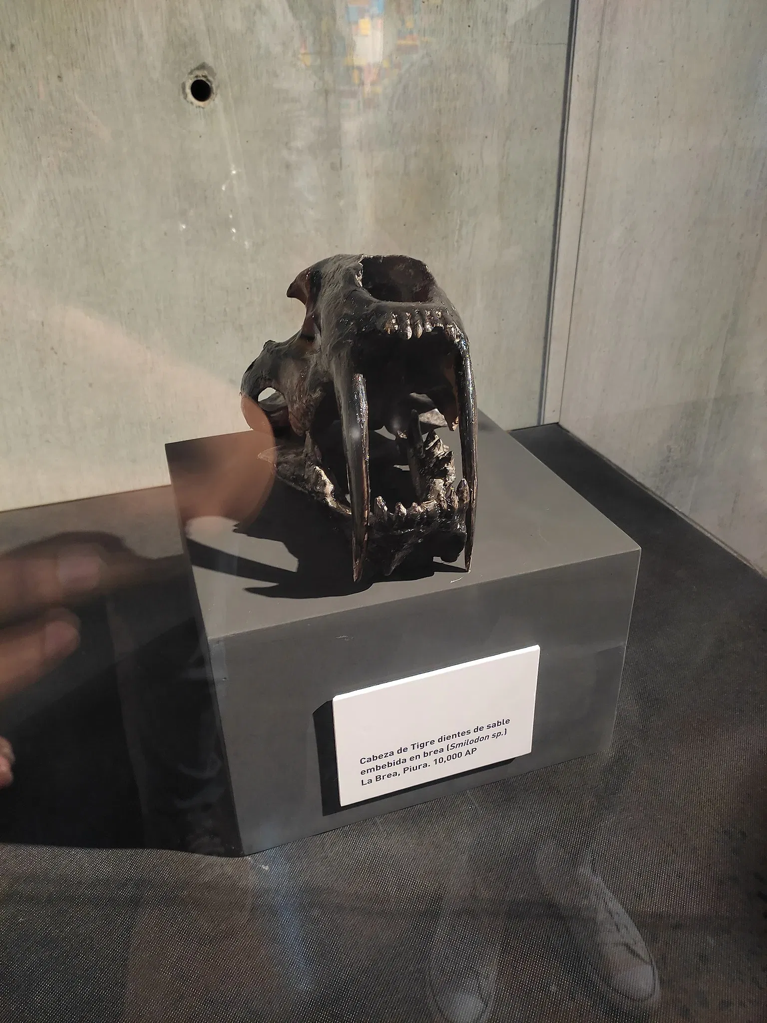 National Museum of Peru