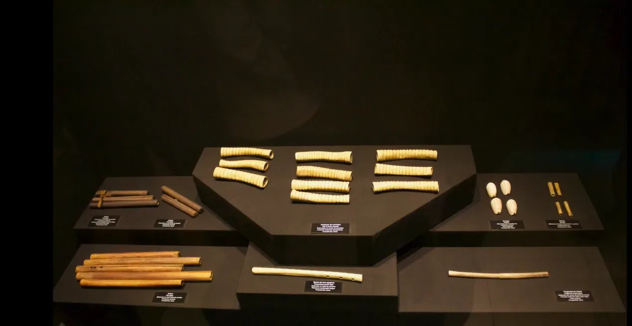 National Museum of Peru