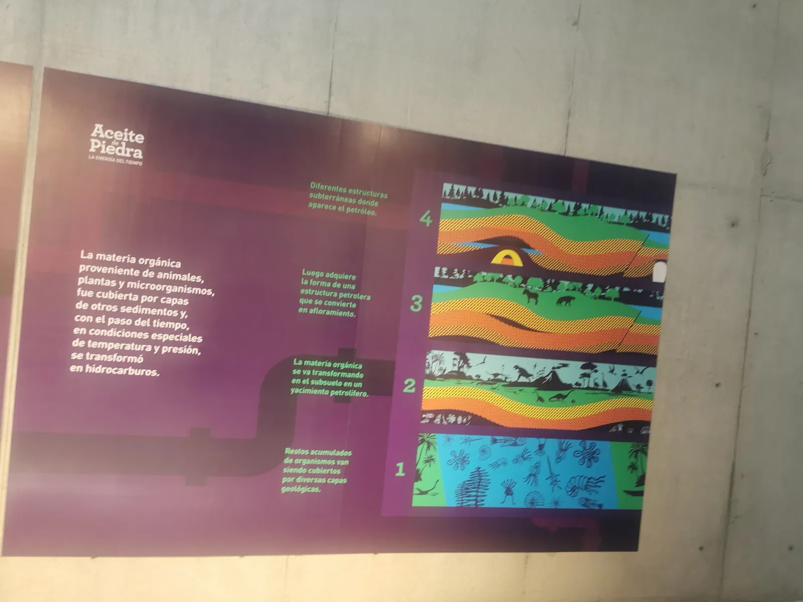 National Museum of Peru