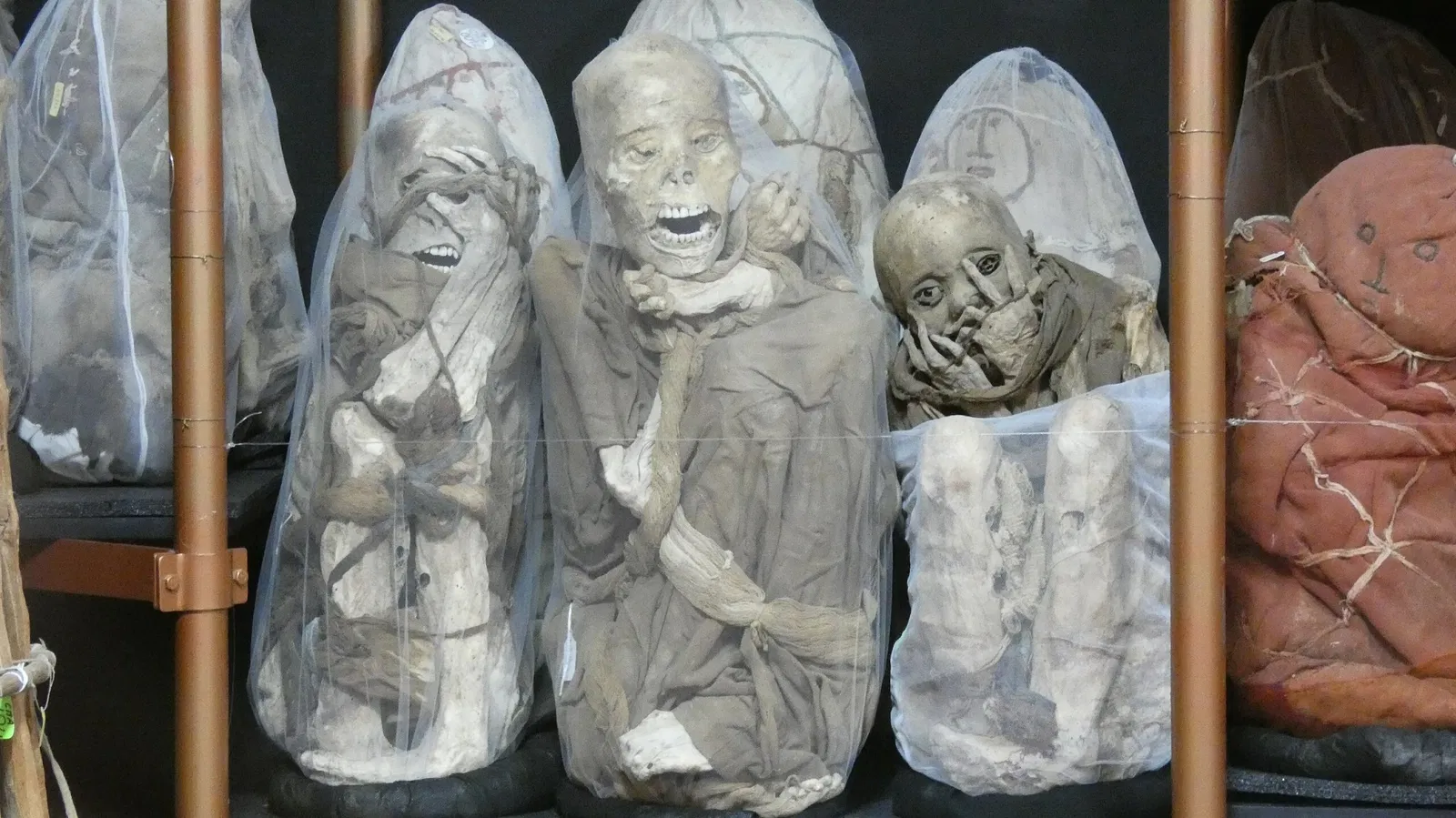 Musée de Leimebamba