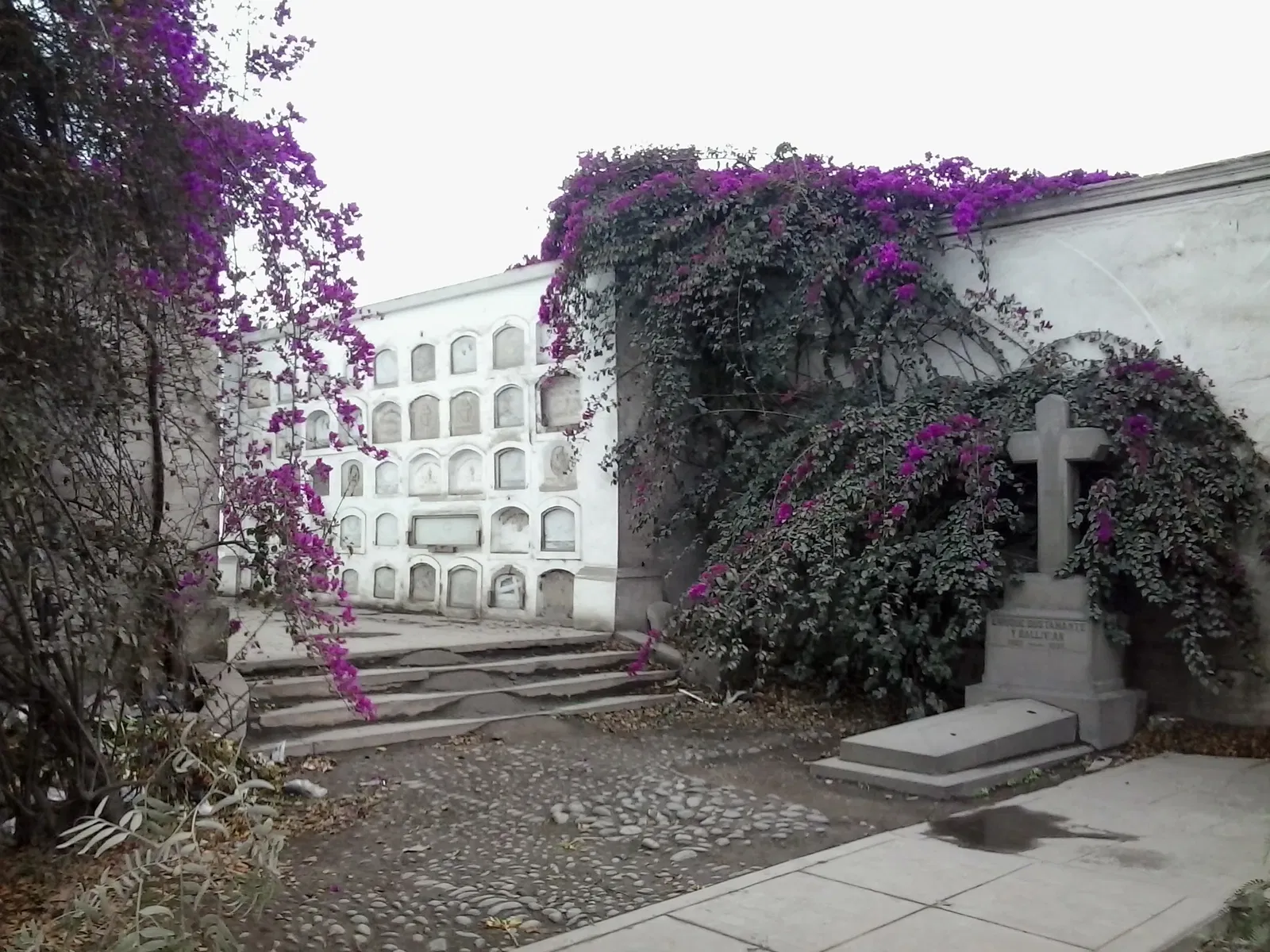 Cementerio Presbítero Matías Maestro