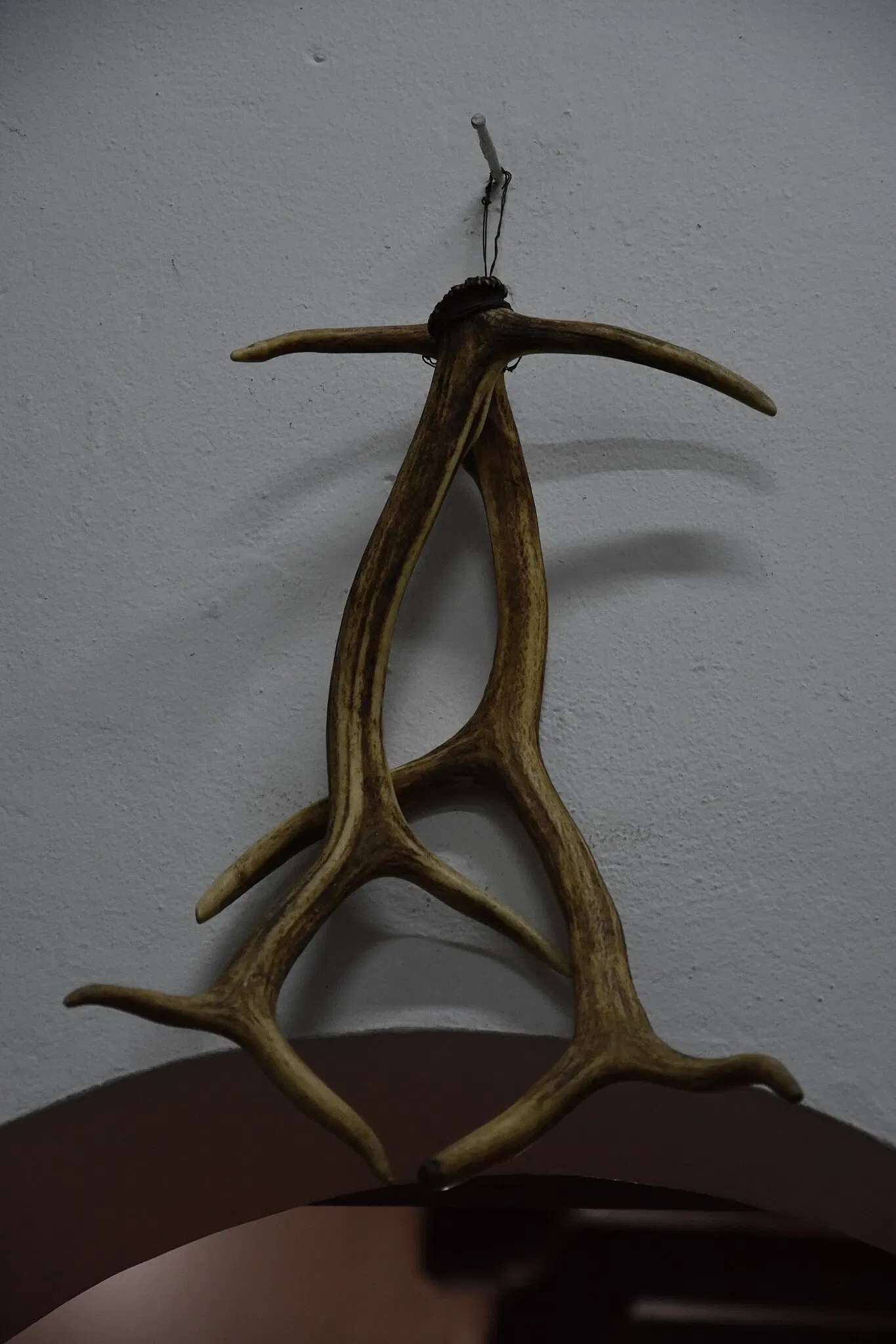 Museum of the Royal Houses