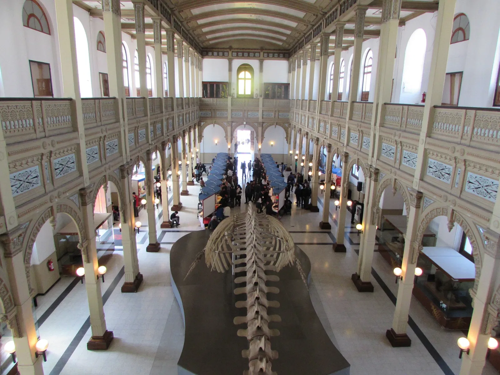 Musée national d'histoire naturelle du Chili