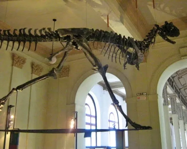 National Museum of Natural History