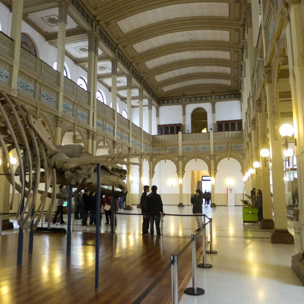 Museo Nacional de Historia Natural de Chile