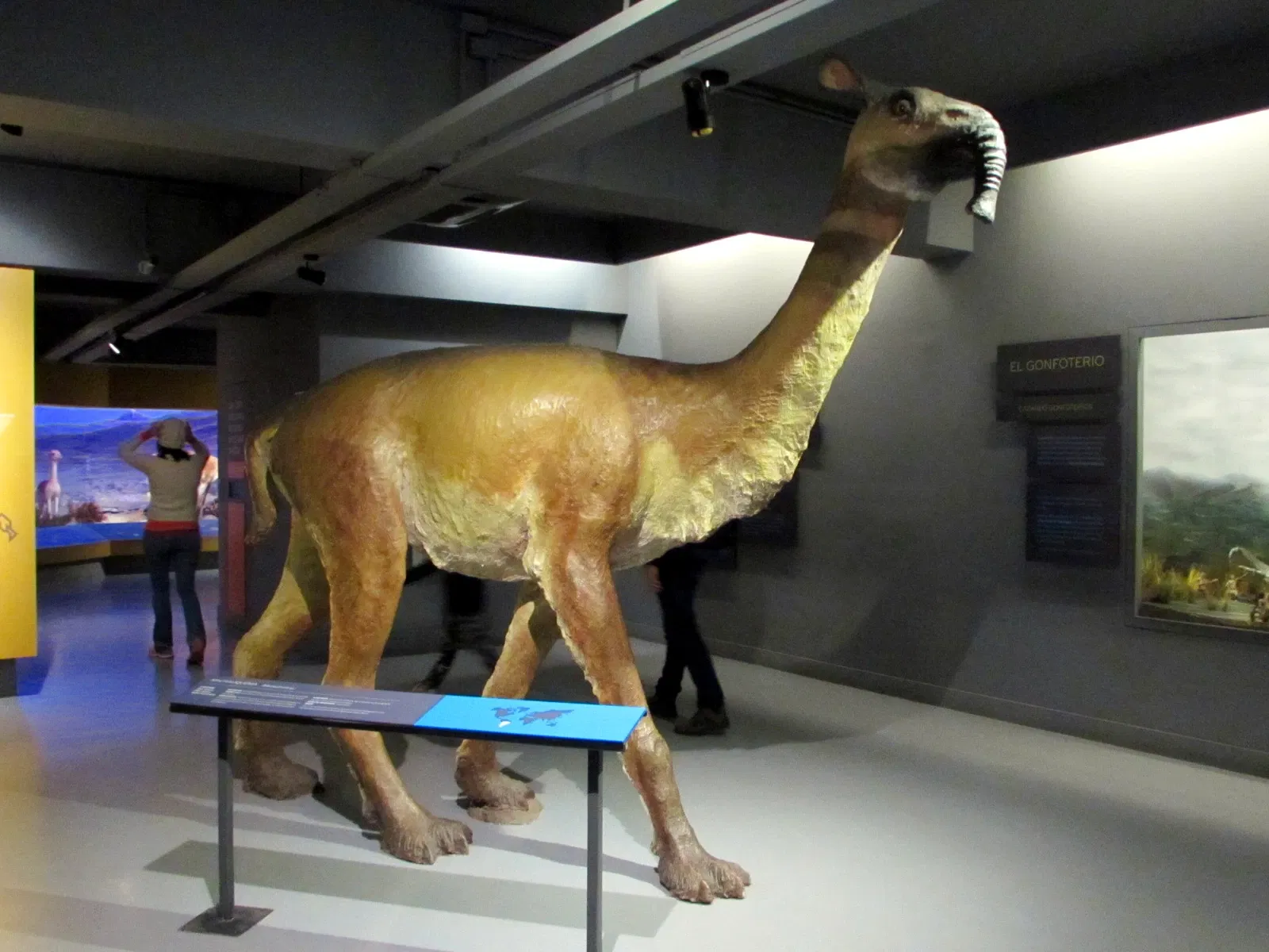 Musée national d'histoire naturelle du Chili