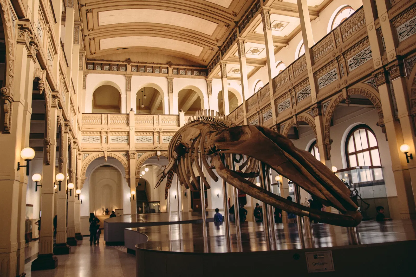 Museo Nacional de Historia Natural