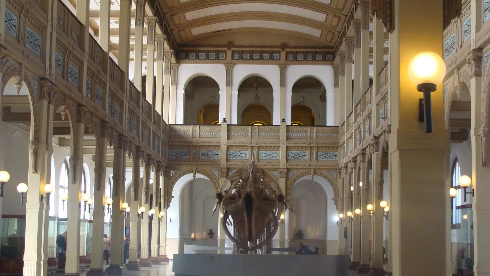 Musée national d'histoire naturelle du Chili